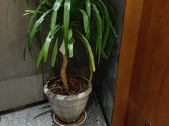 -陈熹公民族美食文化餐厅·清真(中华广场店)