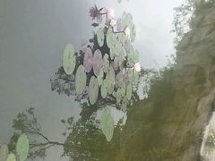 android_upload_pic-满都海公园