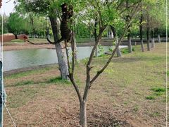 -莫子山公园