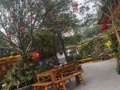 -青城甲(青城山店)