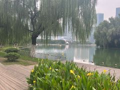 -天鹅湖体育公园
