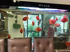 -悦百味·品质川菜(橄榄郡店)