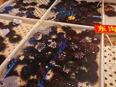-桃源市场(解放路店)