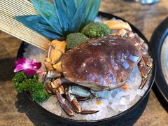 -日进一片海.生腌海鲜火锅.宵夜烧烤(三里屯总店)