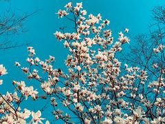 -南京市江宁方山