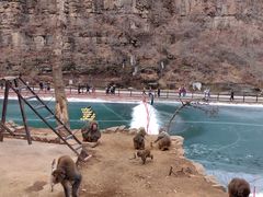 -山西通天峡景区