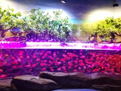 -梦幻海洋王国(吾悦广场张家港店)