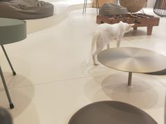 大堂-飞行喵MR PILOT|猫舍·猫咖(静安大融城店)