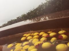 -天目湖涵田半山温泉