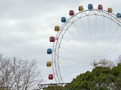 -上海野生动物园