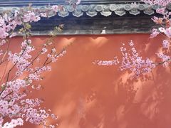 -国家植物园