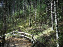 -黄龙山原始森林景区