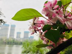 -白鹭湾湿地公园