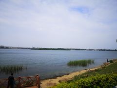 -丁香湖公园