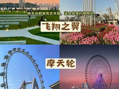-金鸡湖景区
