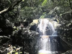 -牛背梁国家森林公园