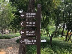 -阳台山自然风景区