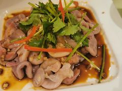 -新兴·金羊座·粤菜点心(乐峰店)