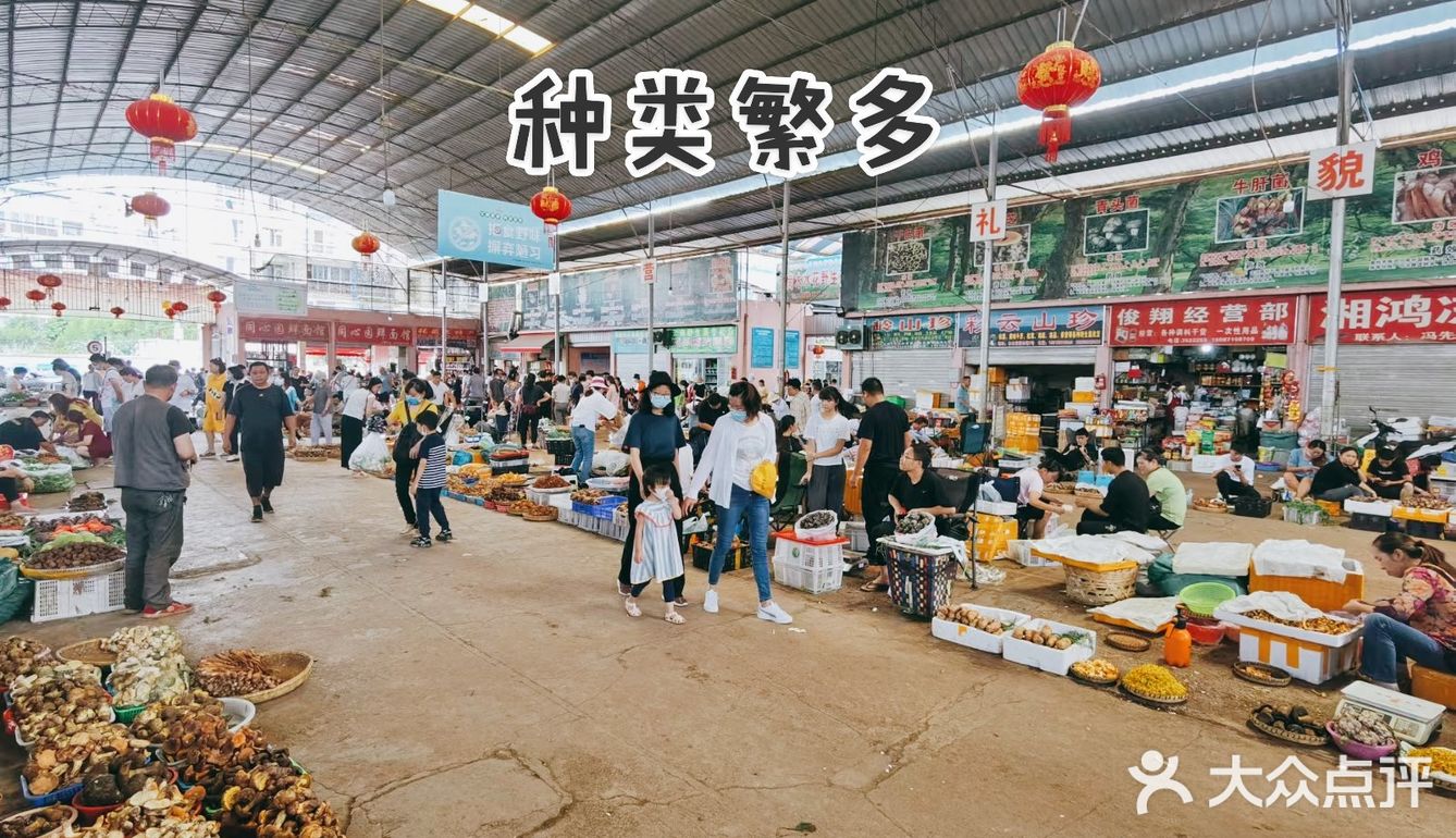 云南木水花野生菌市场买菌记