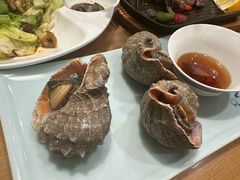 -海派美食·家宴海鲜青岛菜·石锅鲽鱼头(东方城店)