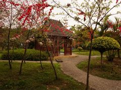 -广东花都香草世界旅游度假区