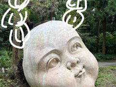 -东平国家森林公园