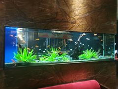 -松临·铁板烧&Omakase(神农店)