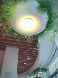 -悦诗风吟innisfree