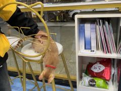 -博特宠物医院24h犬猫全科.骨科·异宠