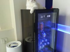 -零纪元VR体验馆·桌游(黄浦店)