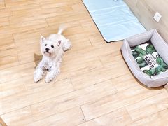 -Double Rui宠物酒店