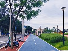 -集美学村