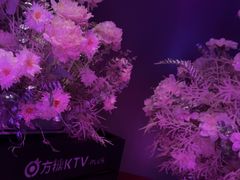 -方糖KTV-PLUS(世茂广场店)