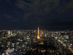 -六本木新城展望台(东京城市景观)
