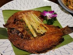 -紫滇源云南生态菜(丹凤街店)
