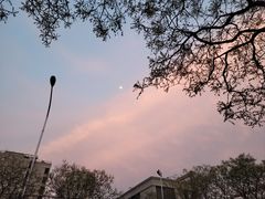 -蛮横肉蟹煲(印象城店)