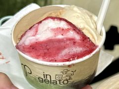 杨梅冰酿-Dip in Gelato(富民路店)