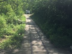 -五营红松林海景区