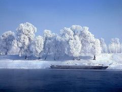 -五营红松林海景区