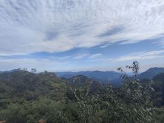 -大岭沟猕猴桃谷风景区