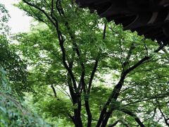 -居庸关长城
