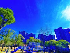 -新江湾城公园