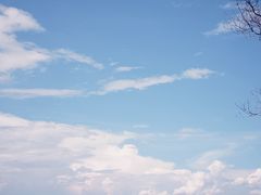 -洱海月湿地公园