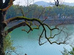 -蒋氏故居