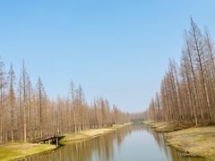-黄海国家森林公园
