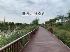 -西海子公园