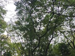 -中山公园(石岐街道)