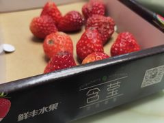 -鲜丰水果(双桂坊店)