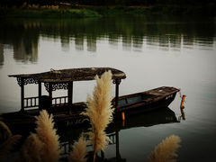 -三垟湿地