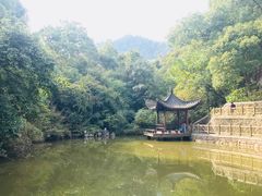 -敬亭山风景名胜区